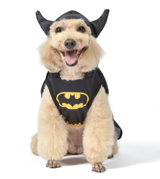 batman dog halloween costume